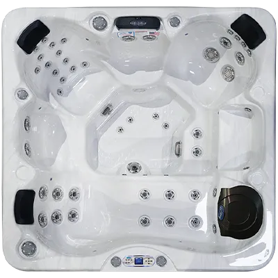 Avalon EC-849L hot tubs for sale in Durham