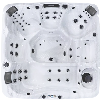 Avalon EC-867L hot tubs for sale in Durham