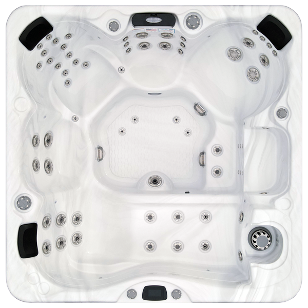 Avalon-X EC-867LX hot tubs for sale in Durham